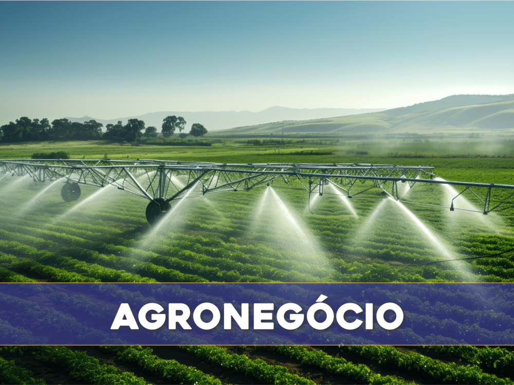 AGRONEGOCIO